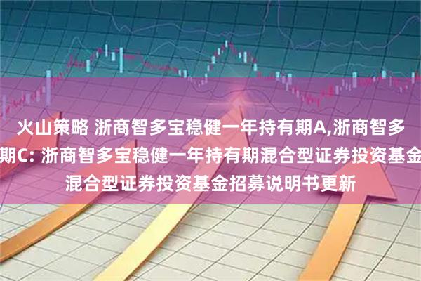 火山策略 浙商智多宝稳健一年持有期A,浙商智多宝稳健一年持有期C: 浙商智多宝稳健一年持有期混合型证券投资基金招募说明书更新
