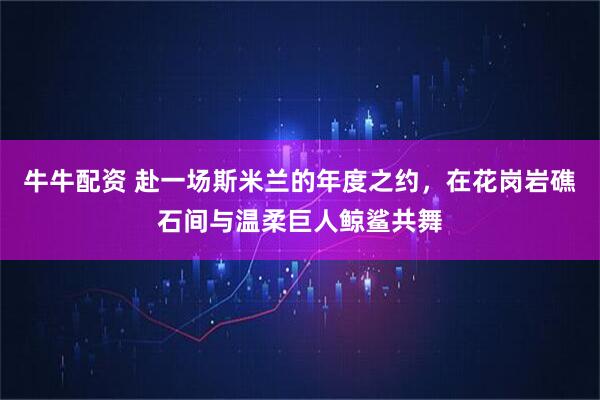 牛牛配资 赴一场斯米兰的年度之约，在花岗岩礁石间与温柔巨人鲸鲨共舞